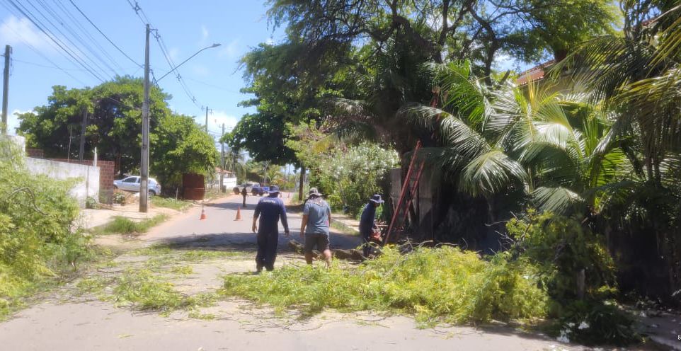 Secretaria de Meio Ambiente de Conde inicia serviços de poda de árvores na região de Jacumã