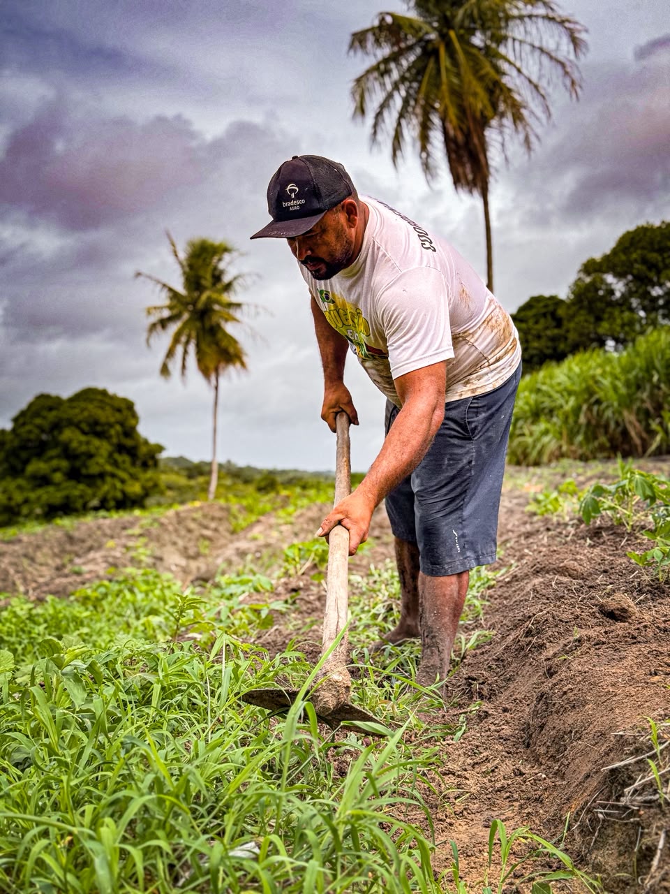 Prefeitura de Conde abre inscrições para agricultores familiares participarem do PAA Federal